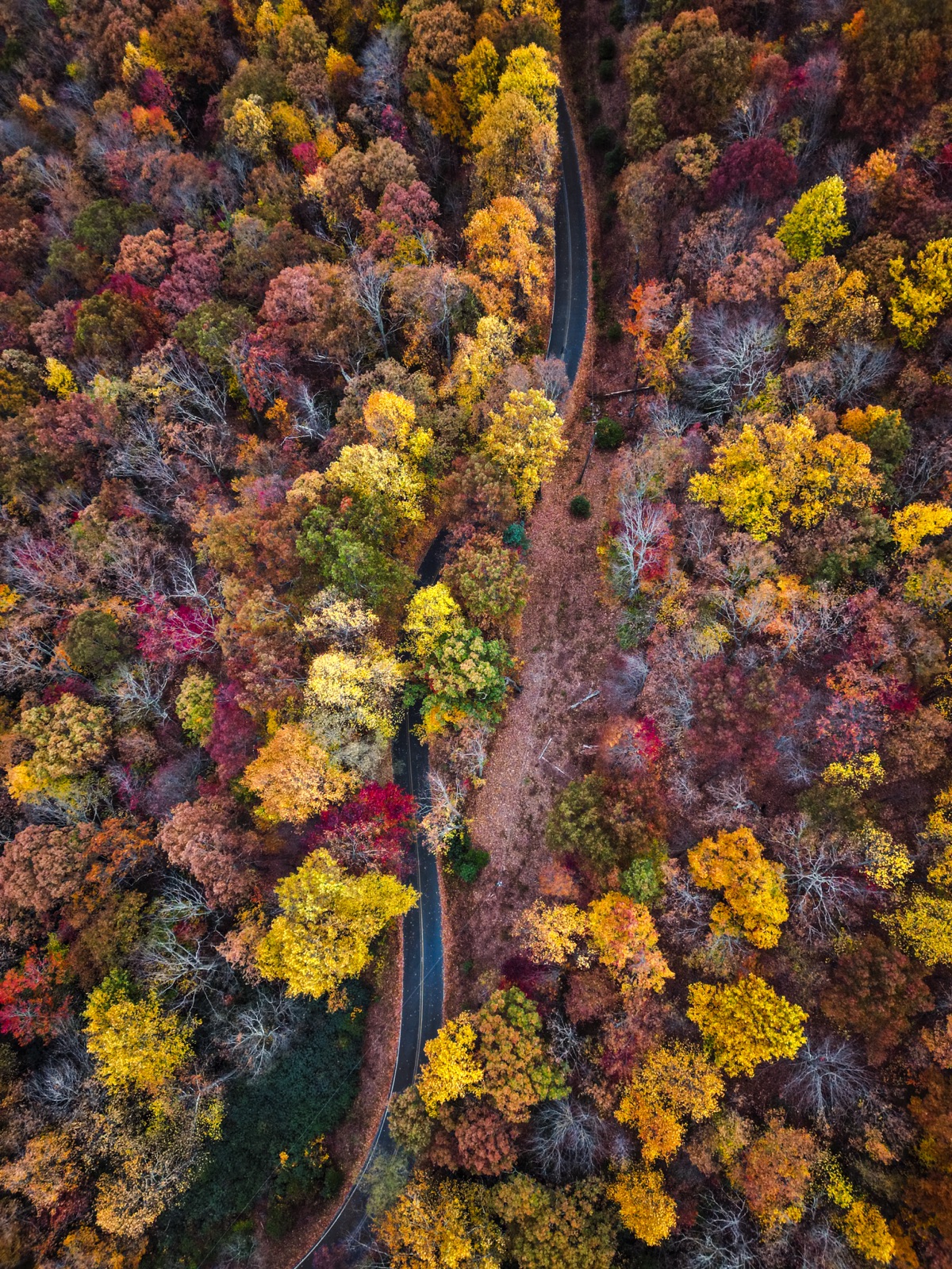 Asheville